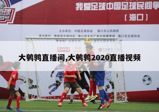 大鹌鹑直播间,大鹌鹑2020直播视频